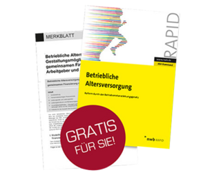 LuG BRSG NL480